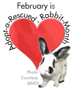 feb2006rabbit.gif