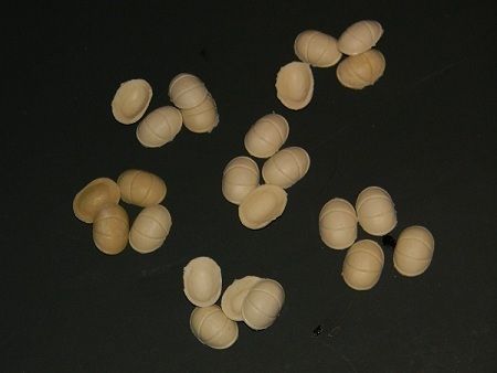 pumkinseeds_zpsc321f19e.jpg