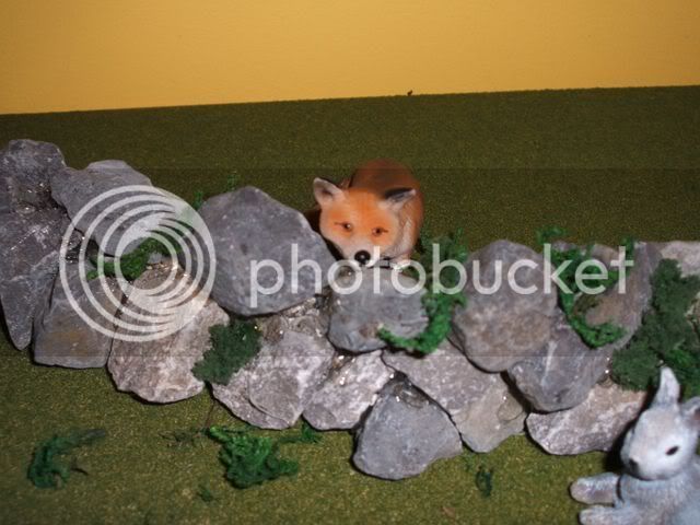 newschleichsfox3640x480.jpg