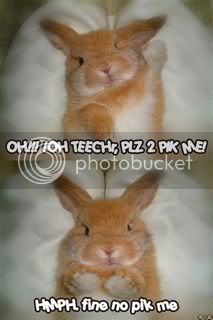 bunny_pik_me.jpg