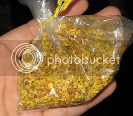 beepollen.jpg