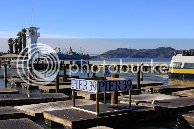 pier39x.jpg