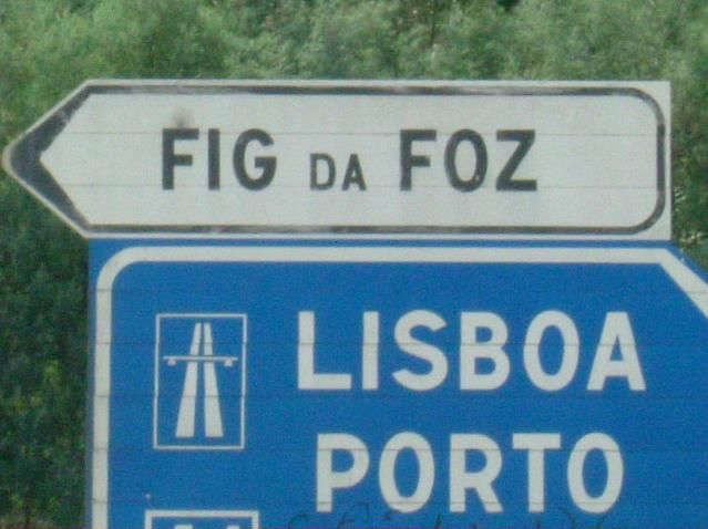 Witzige-Bilder_Fig_da_Foz.jpg