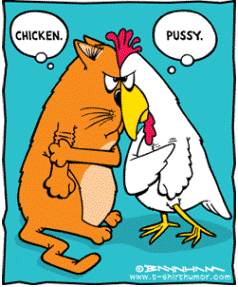 ChickenVsPussy.gif