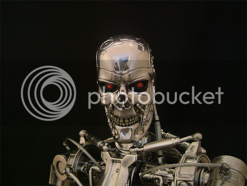 endoskeleton-036.jpg