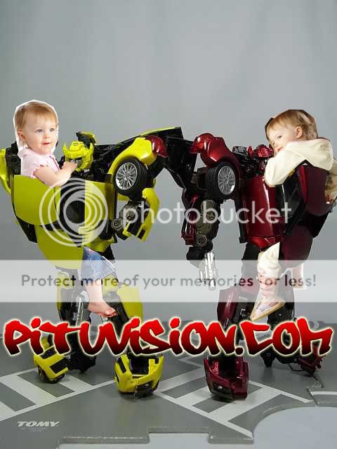 bumblebeebabycarrier.jpg