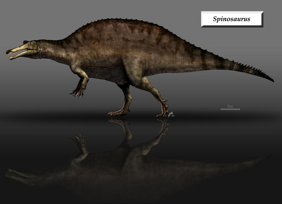 spinosaurus_by_unlobogris-d4rp6qs.jpg