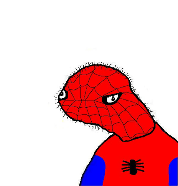 spoder+man.+Actually+is+dolan_b0df48_3515829.jpg