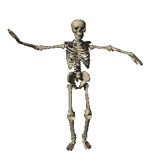 skeleton_dancing_hg_clr.gif
