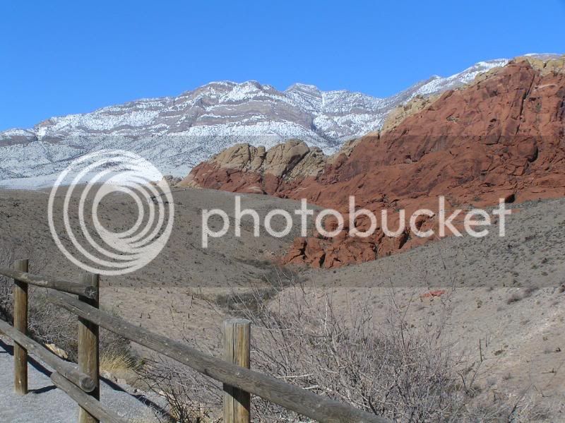 DeathValleyDaze201081.jpg