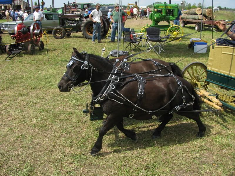 COOKSTOWNSTEAMSHOW018.jpg