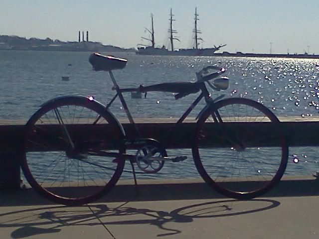 64schwinn022812.jpg