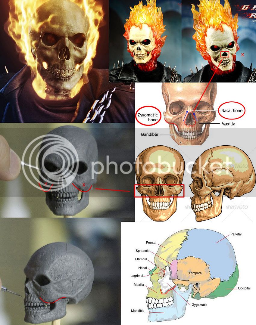 Skull-comp2.jpg