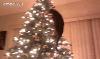 cat-christmas-tree-climbing-fail.gif