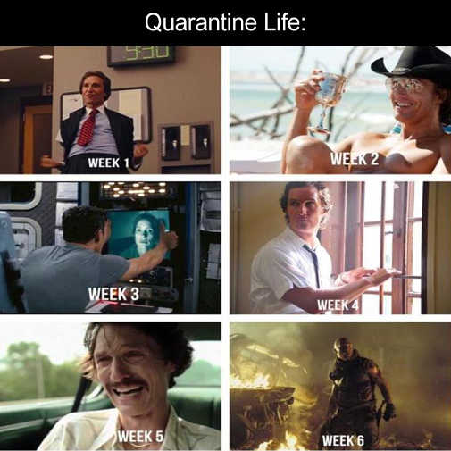 quarantine-life-mathew-mcconahey-weeks.jpg