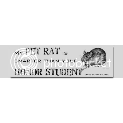 smarter_pet_rat_bumper_sticker.jpg