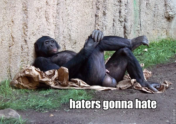 haters-gonna-hate-monkey-crossed-legs-1291945299k.jpg