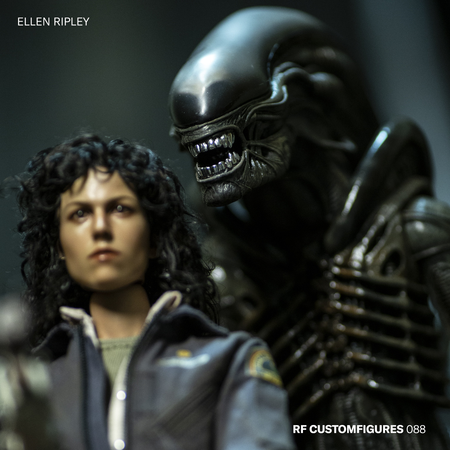 Hot Toys 1/6 Scale Alien - Warrant Officer Ellen Ripley - Comic Spot