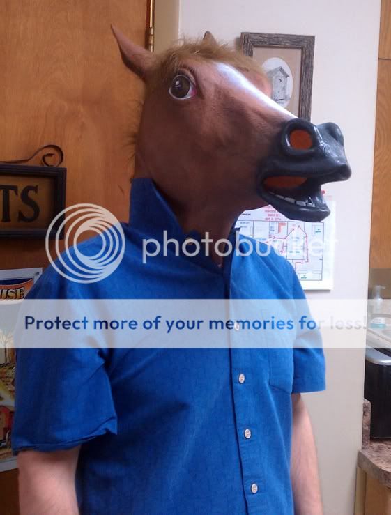 horsejay.jpg