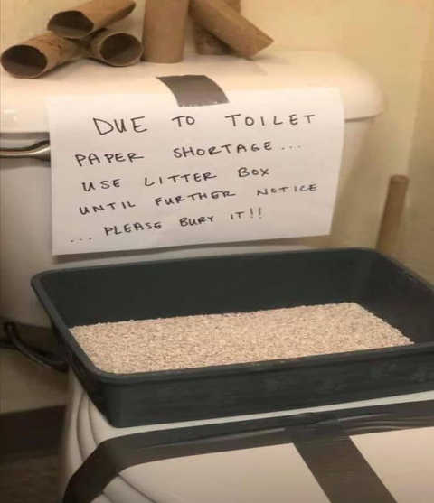 due-to-toilet-paper-shortage-use-litter-box-bury-please.jpg