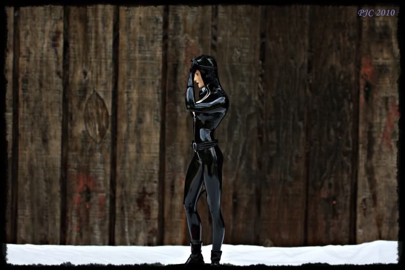 Catwoman4.jpg