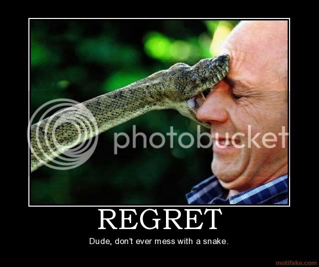 regret-snake-face-bite-regret-demotivational-poster-1260286681.jpg