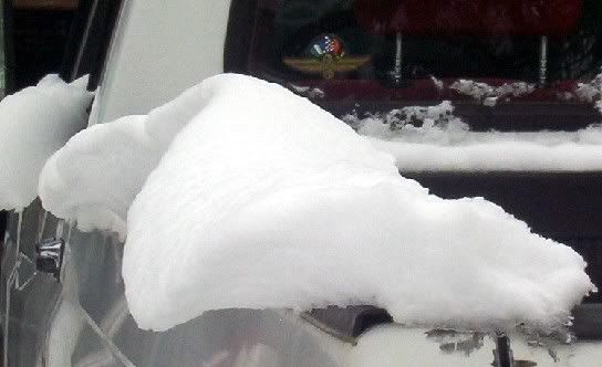 TRUCKiceShelf.jpg