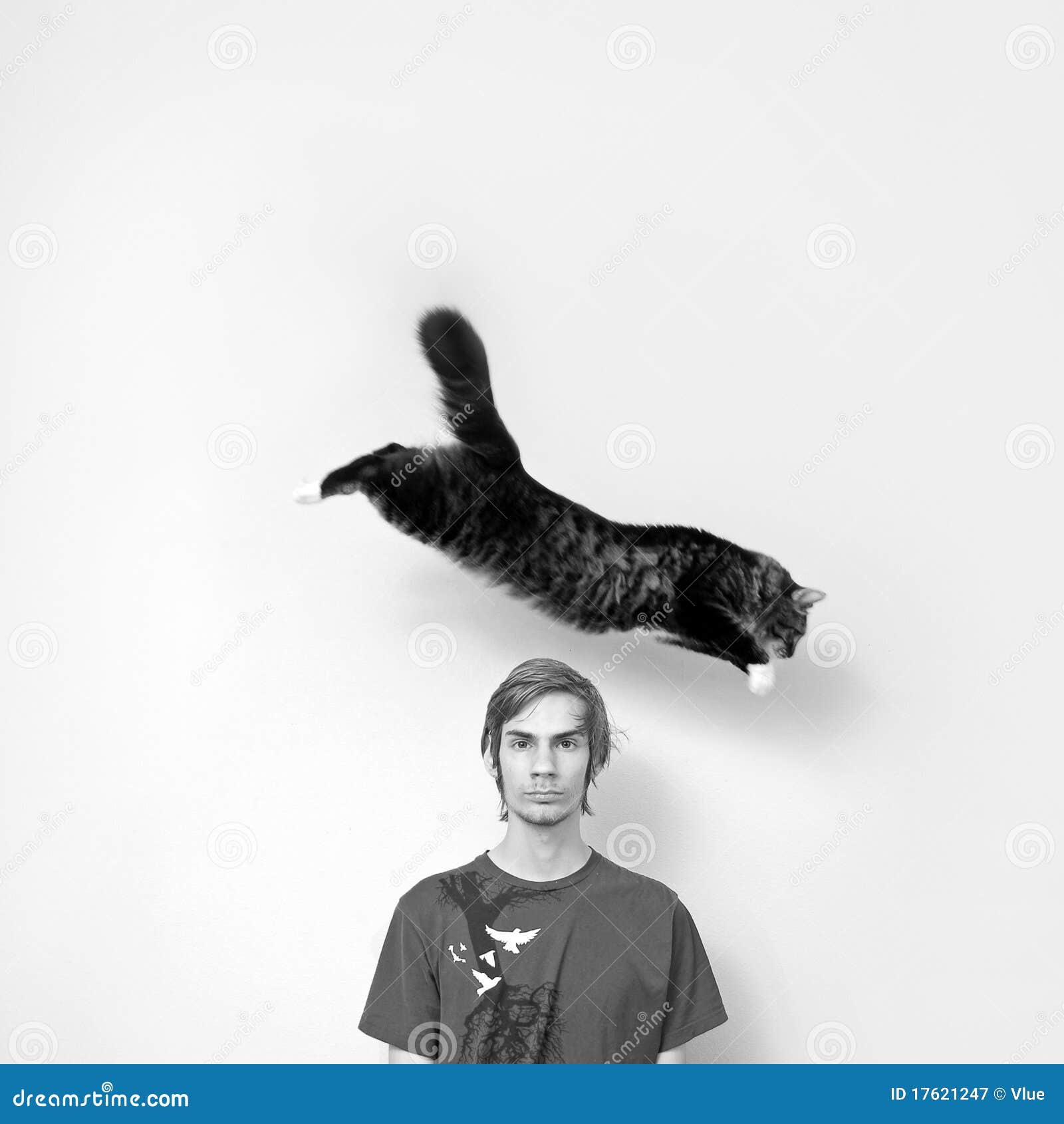 cat-jumping-over-man-s-head-17621247.jpg