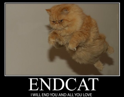 endcat.jpg