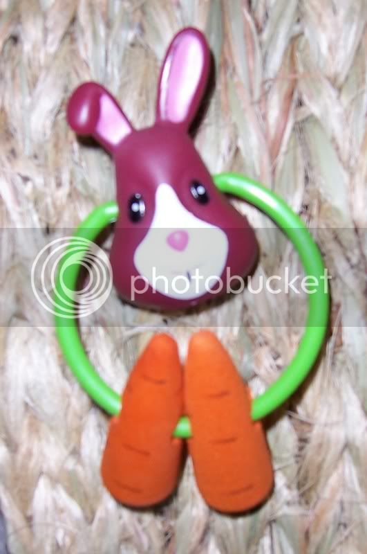 carrot-bunnyrattler.jpg