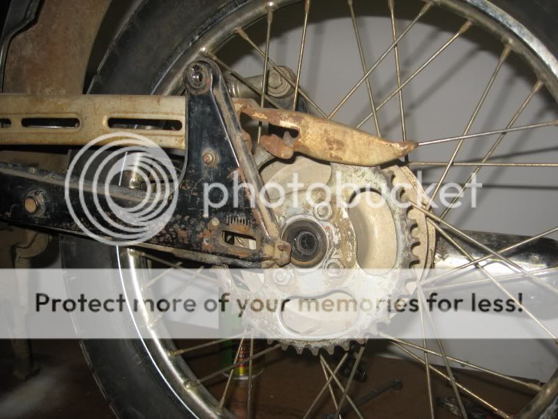 rearwheel.jpg