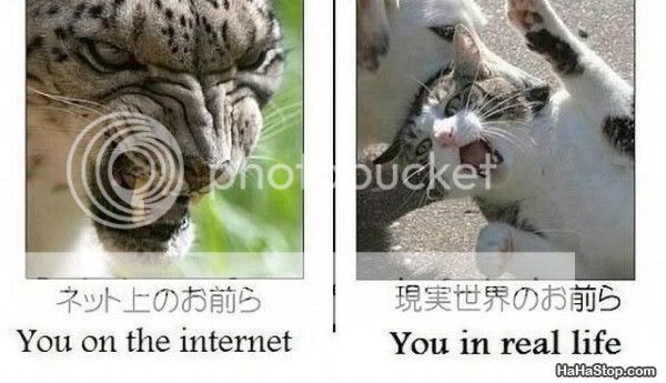 Internet_Vs_Real_Life.jpg