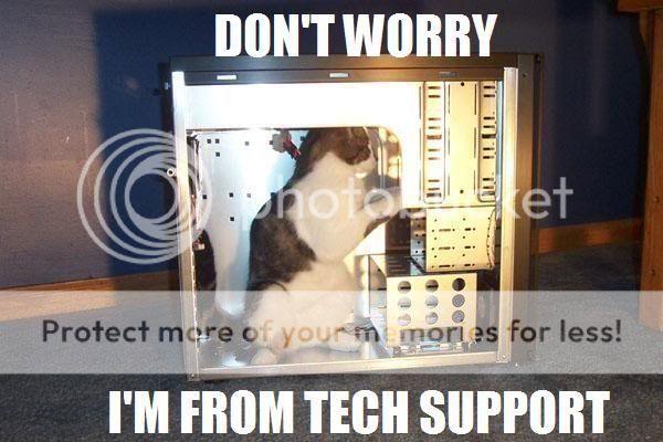 techcat.jpg