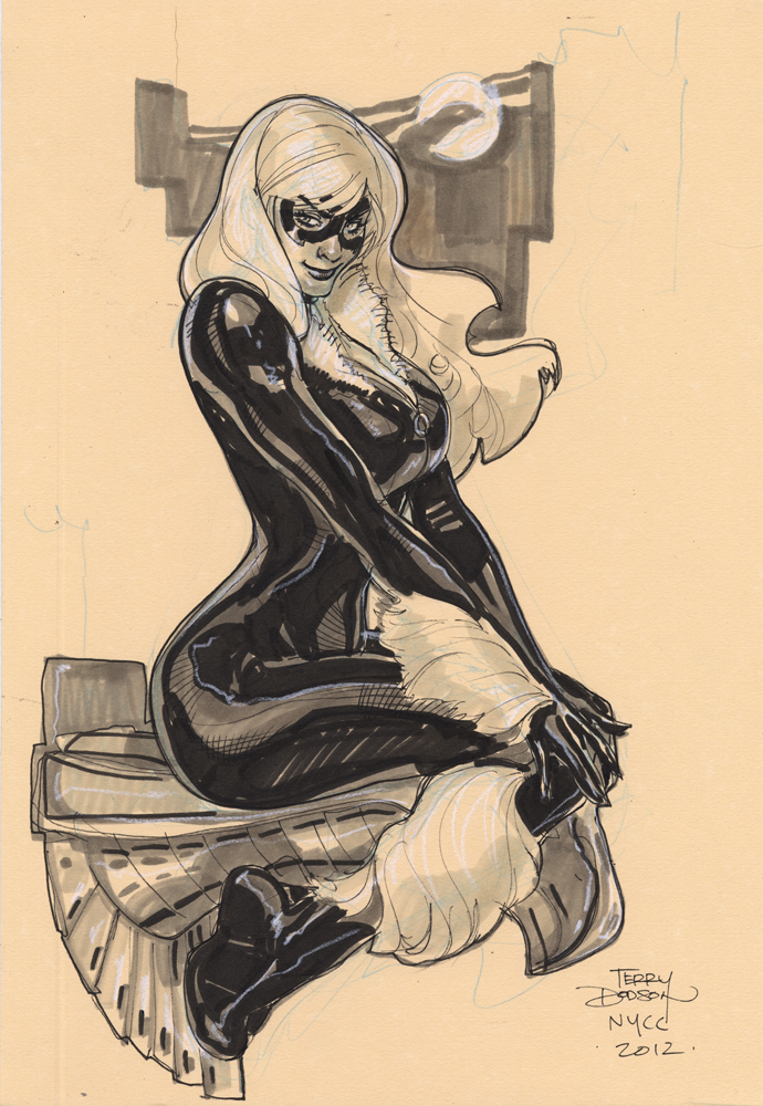 black_cat_nycc_2012_by_terrydodson-d5ky8t3.jpg