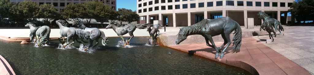 Mustangs_at_Las_Colinas.jpg