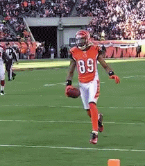 Jerome-Simpson-Front-Flip-Over-Defender-for-Touchdown.gif