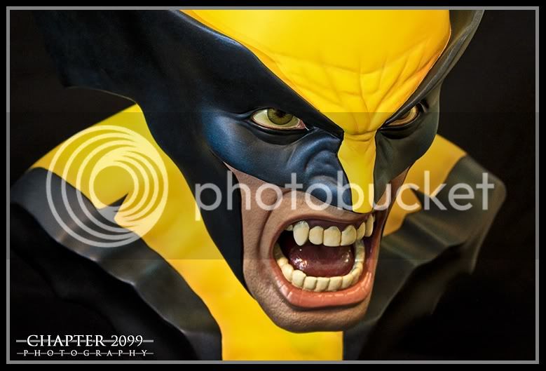 Wolverine4.jpg