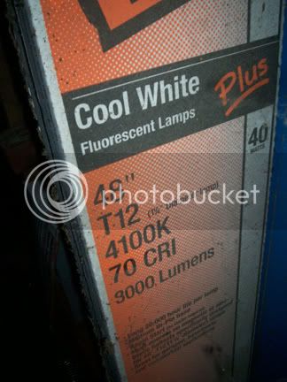 fluorotubes.jpg