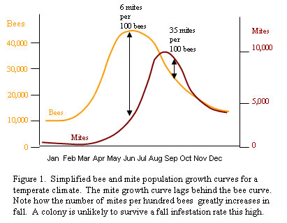 ipm3_fig1-bee-mite-pop-growth.jpg