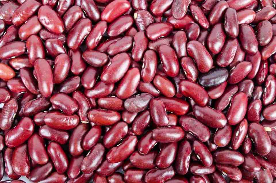 Kidney-Beans.jpg