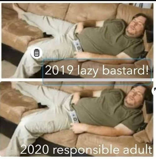 2019-lazy-bastard-2020-responsible-adult.jpg