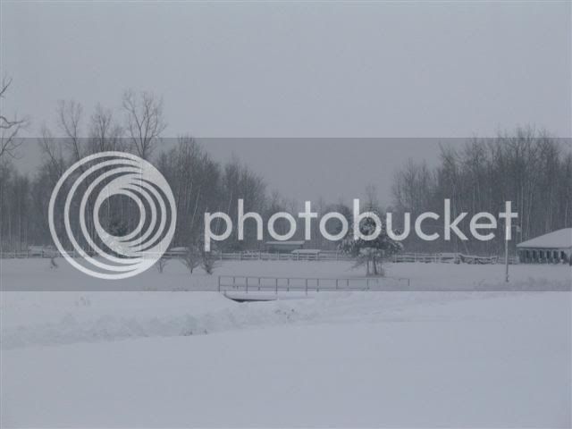 Snow1-1-08022Small.jpg