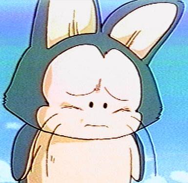 Puar.jpg