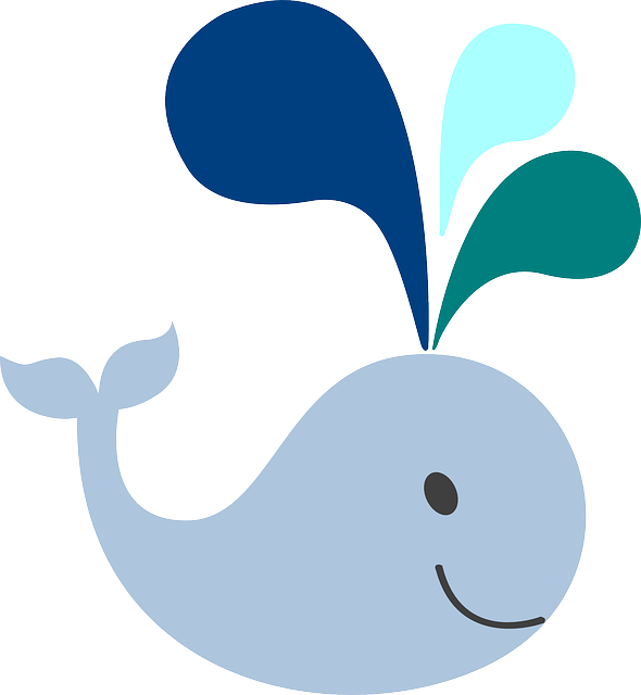 whale-311477-640.png
