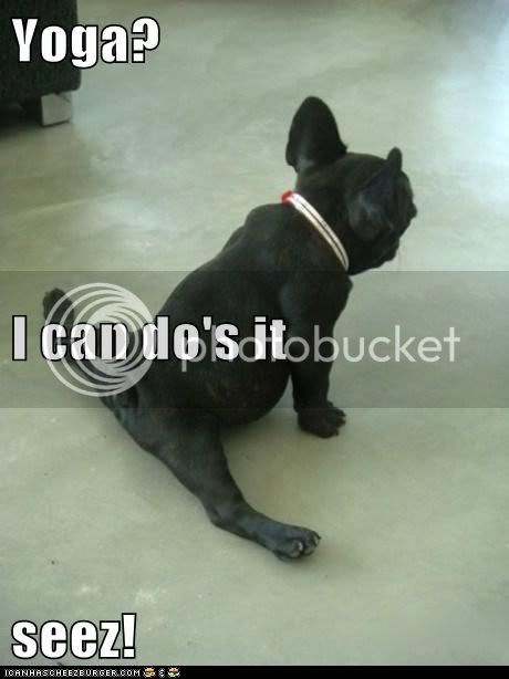 funny-dog-pictures-i-has-a-hotdog-yoga.jpg