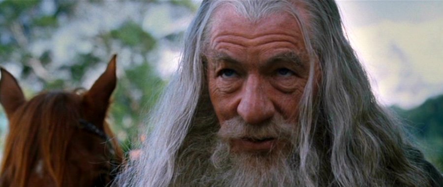 Gandalf-the-Grey-Fellowship-of-the-Ring-gandalf-35160601-900-380.jpg