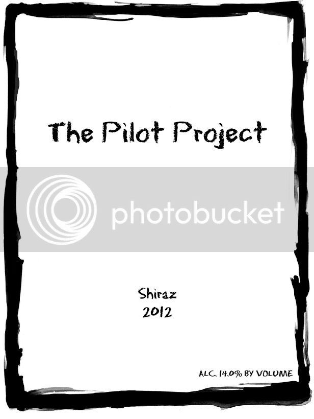 ThePilotProject.jpg