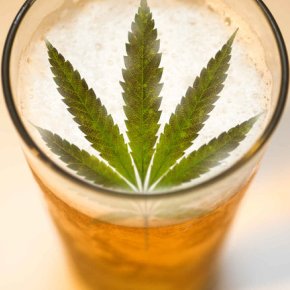 weed-infused-beer-is-a-real-thing-and-we-tell-you-how-to-make-it.jpg