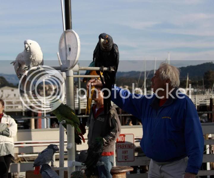 oldfishermanswharf8.jpg