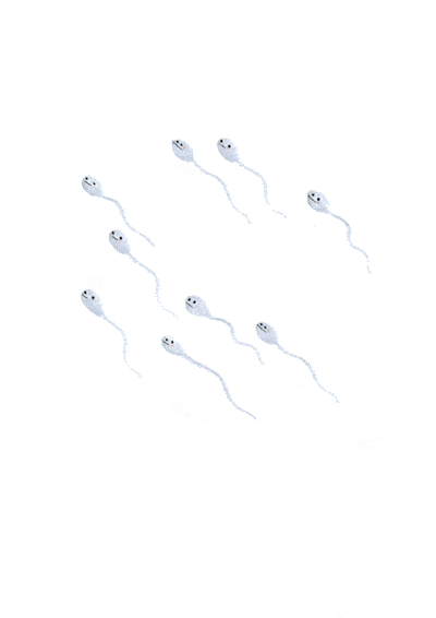 Sperm-Swimming.gif